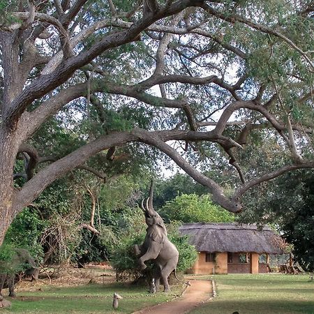 Track And Trail River Camp Kakumbi ภายนอก รูปภาพ