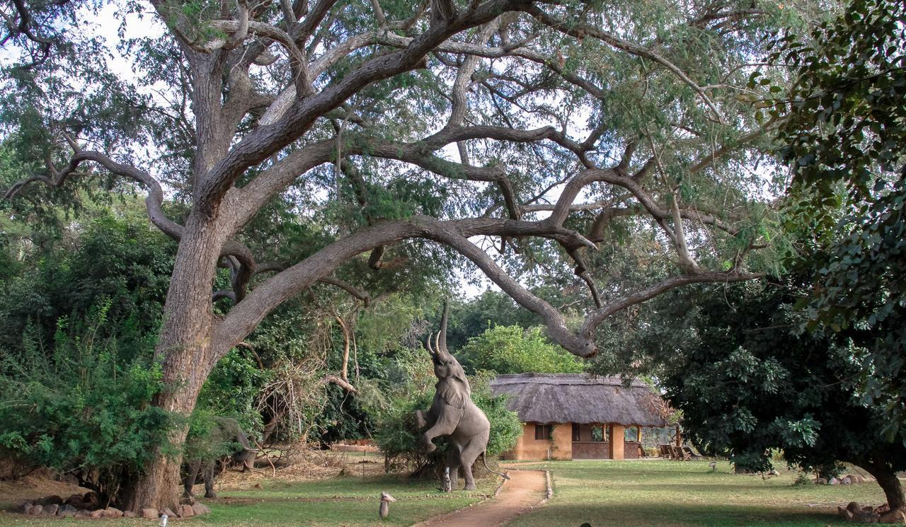 Track And Trail River Camp Kakumbi ภายนอก รูปภาพ