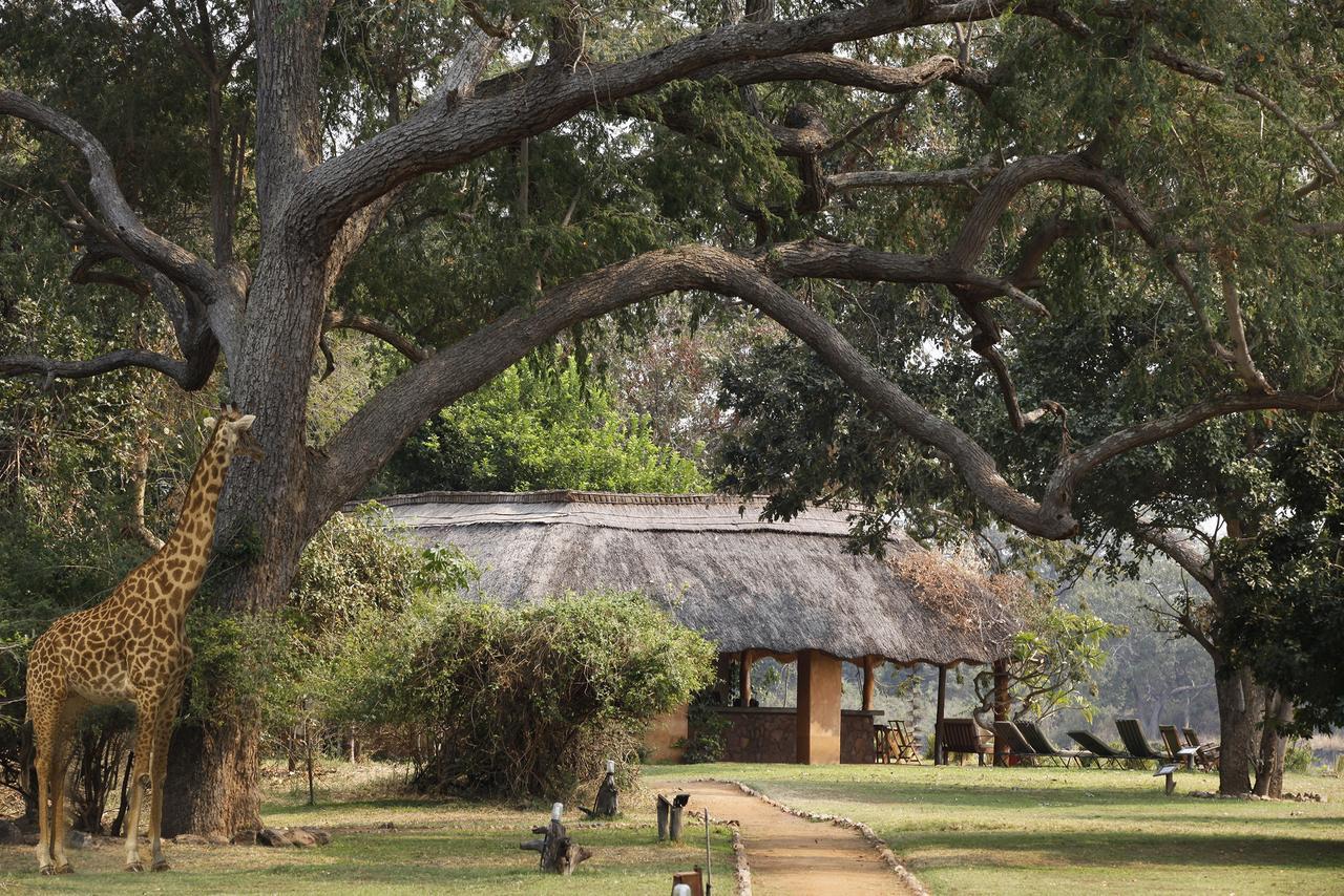 Track And Trail River Camp Kakumbi ภายนอก รูปภาพ