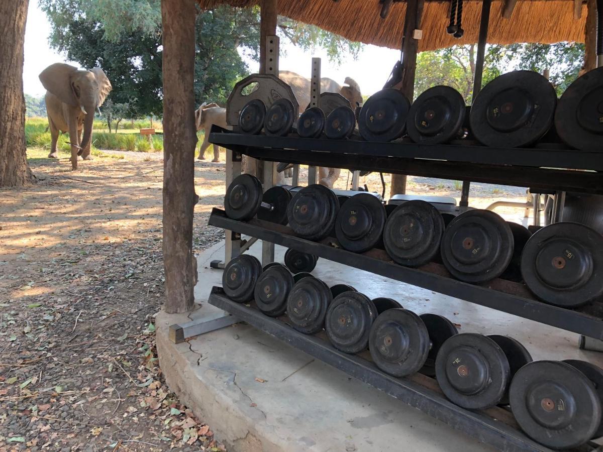Track And Trail River Camp Kakumbi ภายนอก รูปภาพ